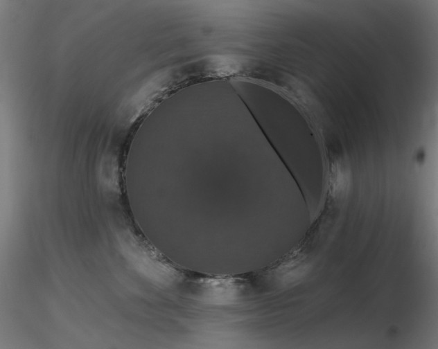 X0000116770524200912171536