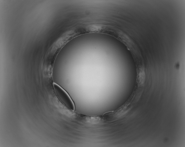 X0000116770525200912171536