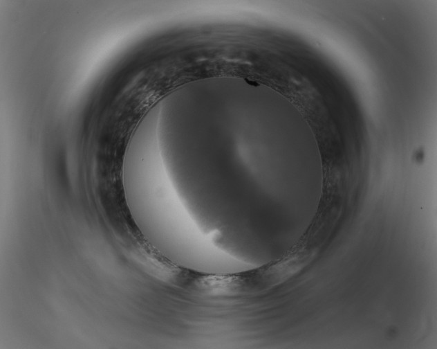X0000116770526200912171536