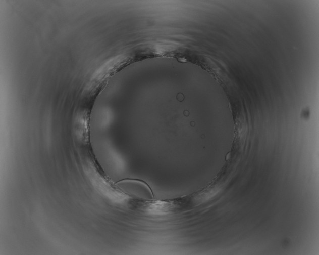 X0000116770527200912171536