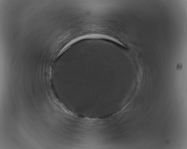 X0000116770528200912171536