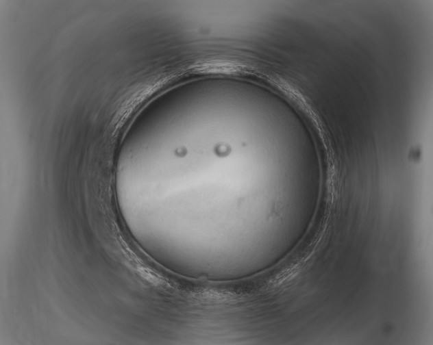 X0000116770529200912171536