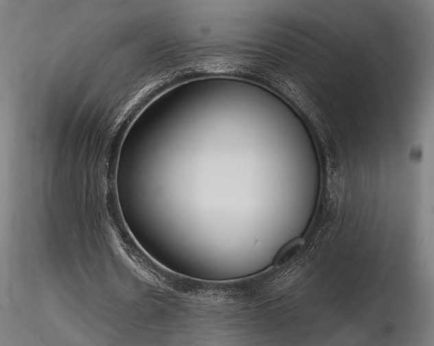 X0000116770530200912171536