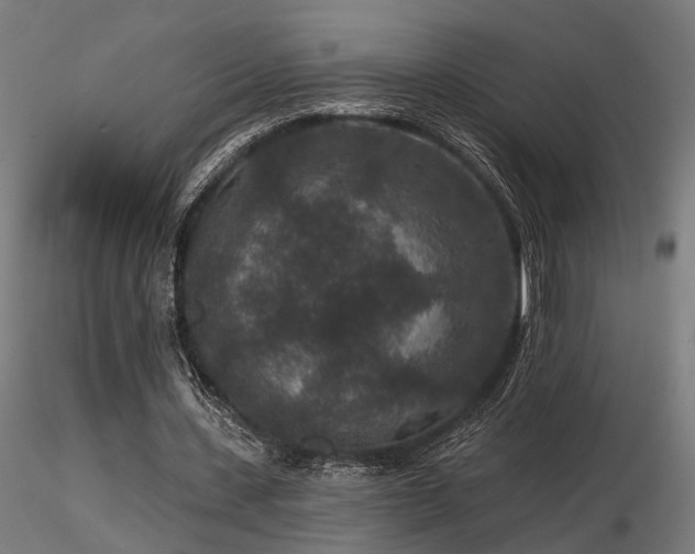 X0000116770531200912171536
