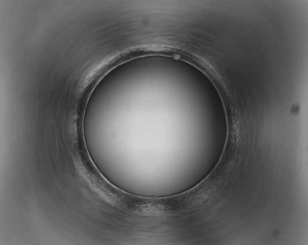 X0000116770535200912171536