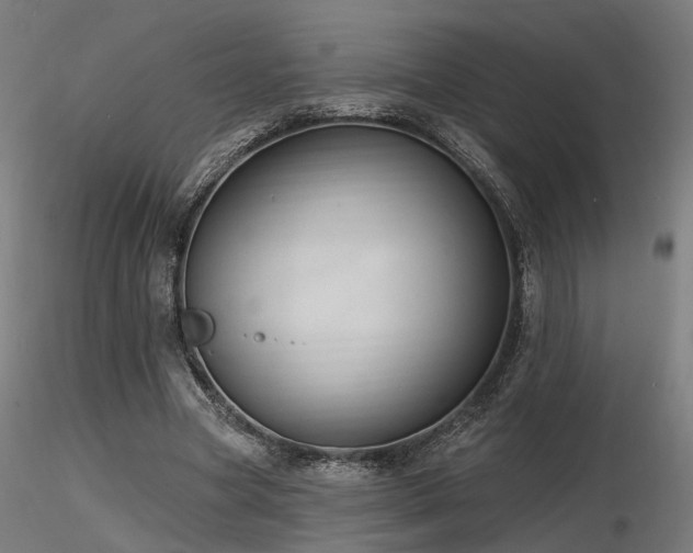 X0000116770537200912171536