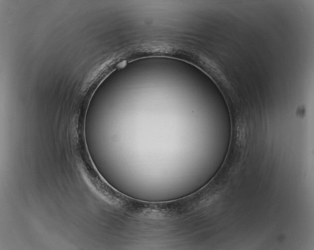 X0000116770538200912171536