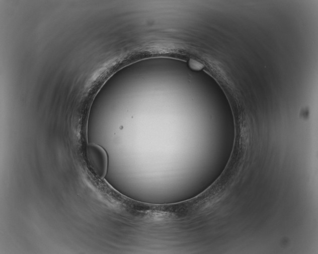 X0000116770539200912171536