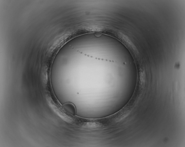 X0000116770541200912171536