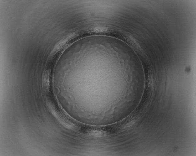 X0000116770542200912171536