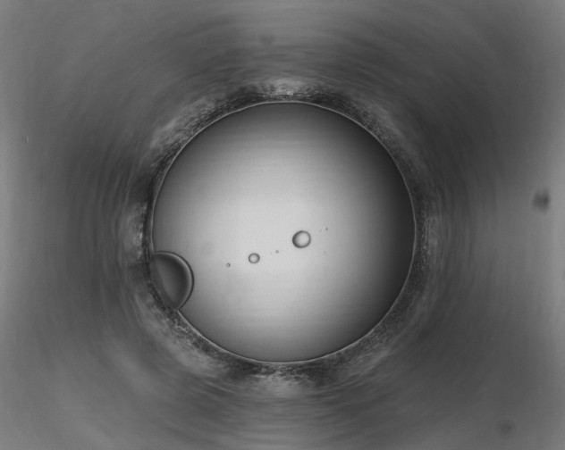 X0000116770545200912171536