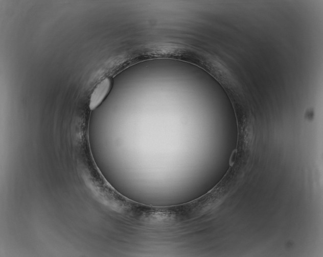 X0000116770546200912171536