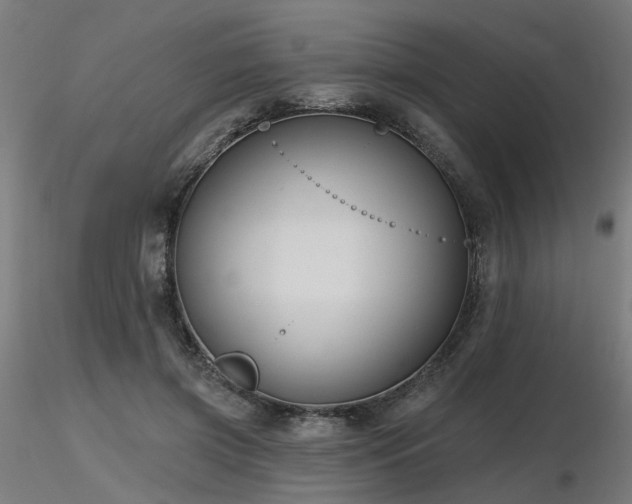 X0000116770549200912171536