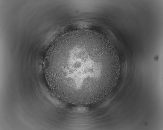 X0000116770553200912171536