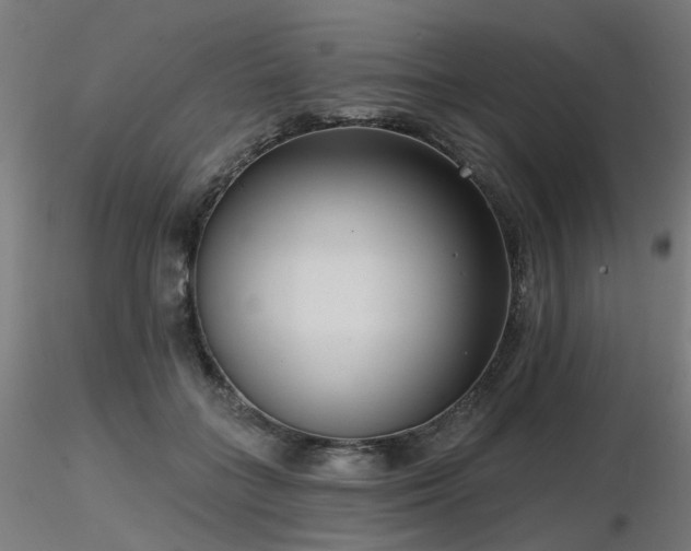 X0000116770555200912171536
