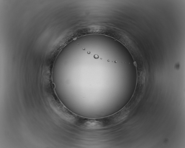 X0000116770557200912171536