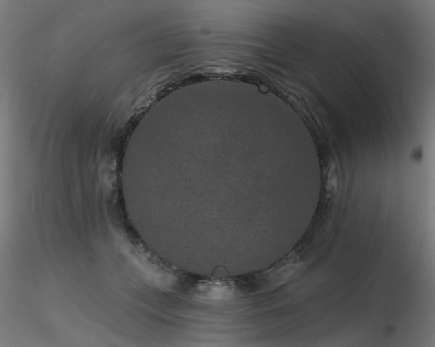 X0000116770559200912171536