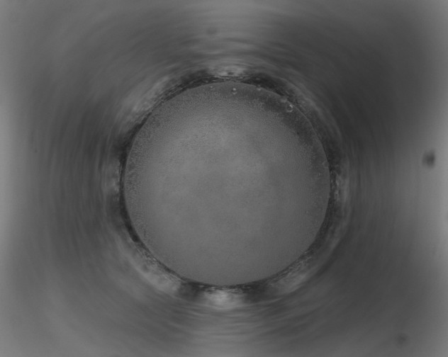 X0000116770561200912171536