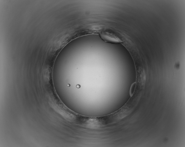 X0000116770562200912171536