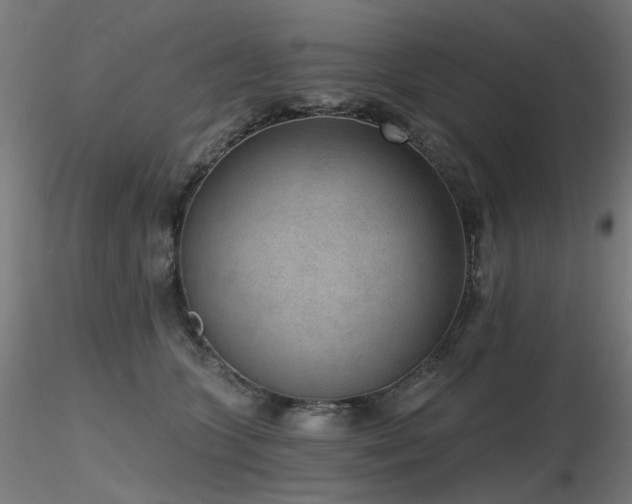 X0000116770563200912171536