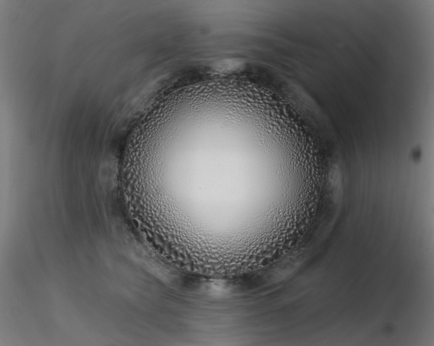 X0000116770565200912171536