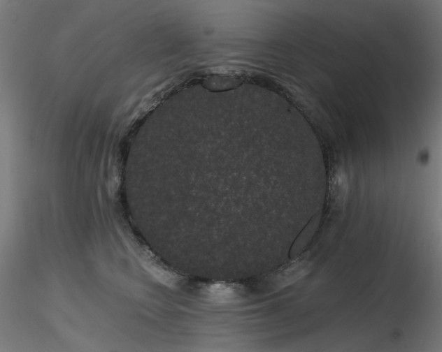 X0000116770566200912171536