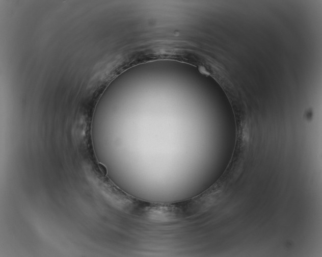 X0000116770567200912171536