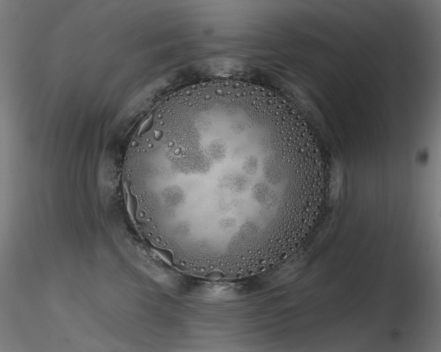 X0000116770569200912171536