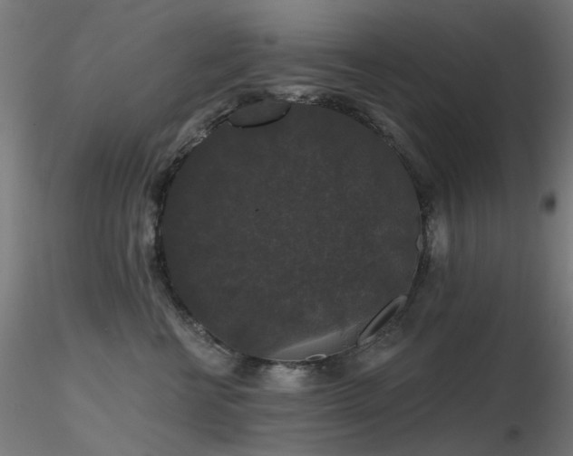 X0000116770570200912171536