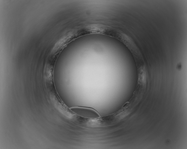 X0000116770573200912171536