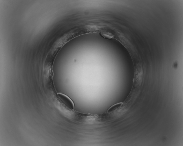 X0000116770574200912171536