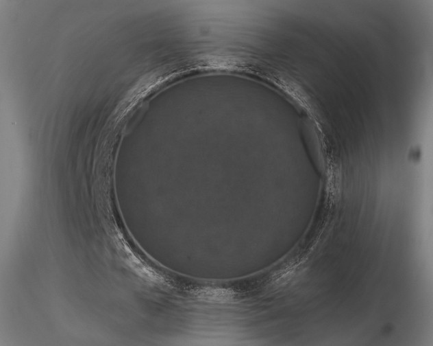 X0000116770577200912171536
