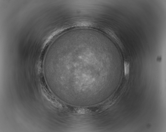 X0000116770579200912171536