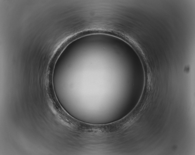 X0000116770580200912171536