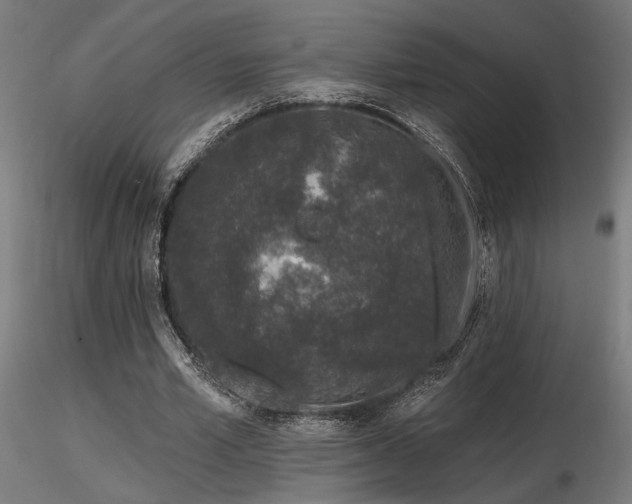 X0000116770581200912171536