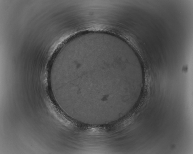 X0000116770584200912171536
