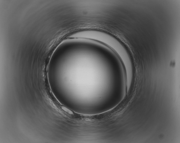 X0000116770585200912171536