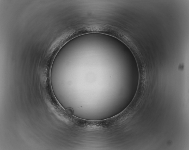 X0000116770586200912171536