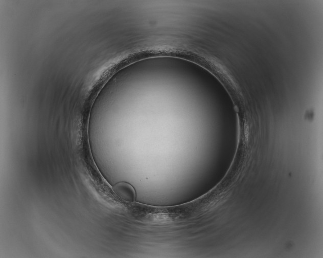 X0000116770588200912171536