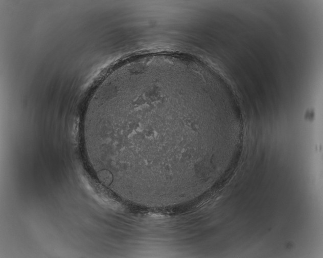 X0000116770592200912171535