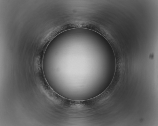 X0000116770594200912171535