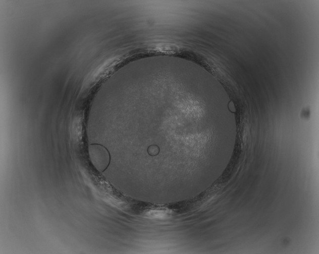 X0000116770595200912171535