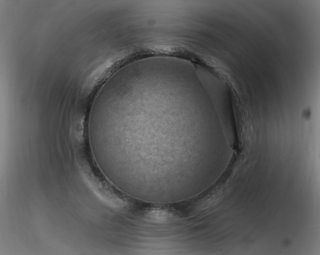 X0000116770596200912171535