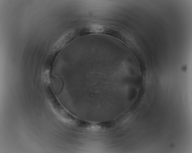 X0000116770598200912171535