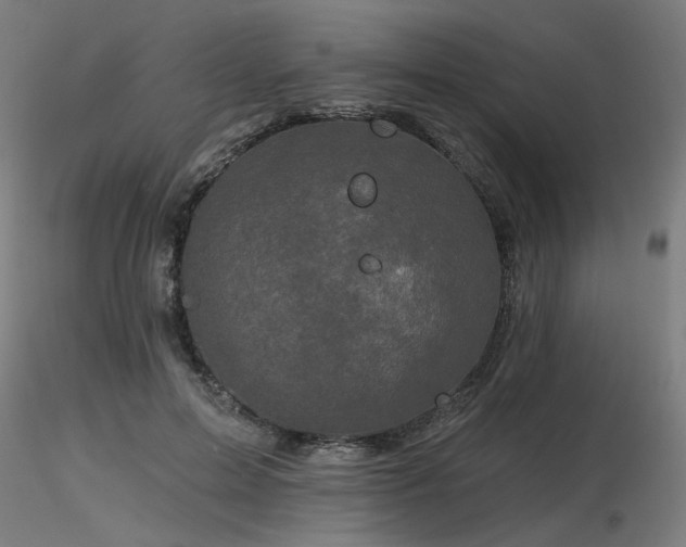 X0000116770599200912171535