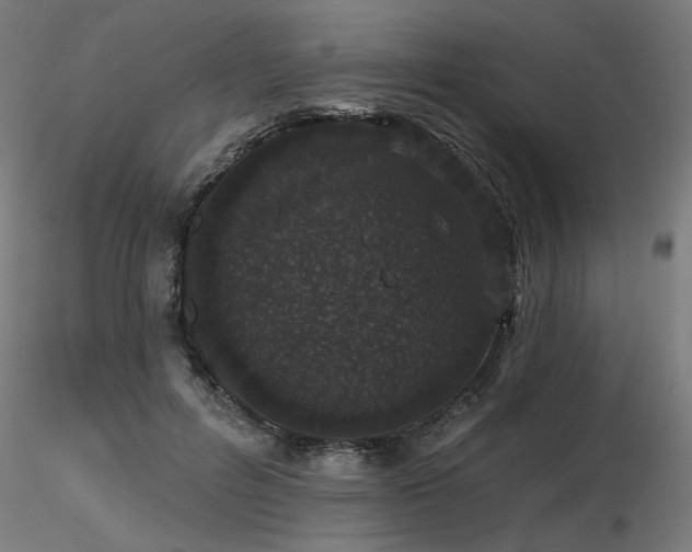 X0000116770600200912171535