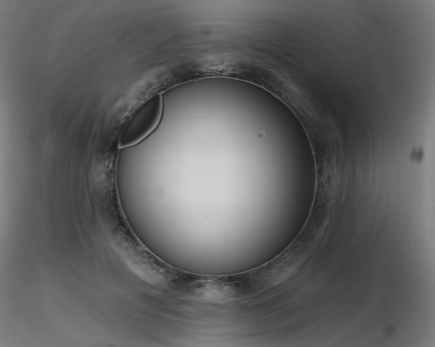X0000116770601200912171535