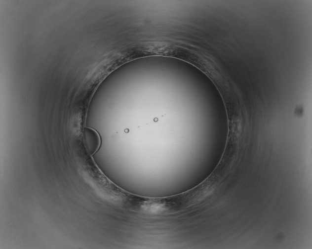 X0000116770602200912171535