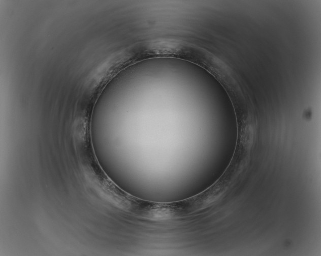 X0000116770604200912171535