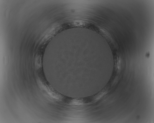 X0000116770606200912171535